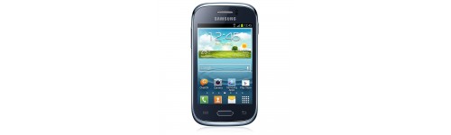 GT-S6310 Galaxy Young